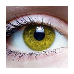 Lentillas Amarillas