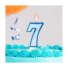 Cumpleaños 7 Años Niño